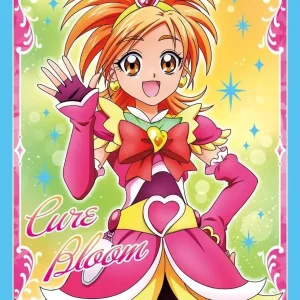 Ensky Character Sleeves PreCure Chronicle Cure Bloom 65-Pack